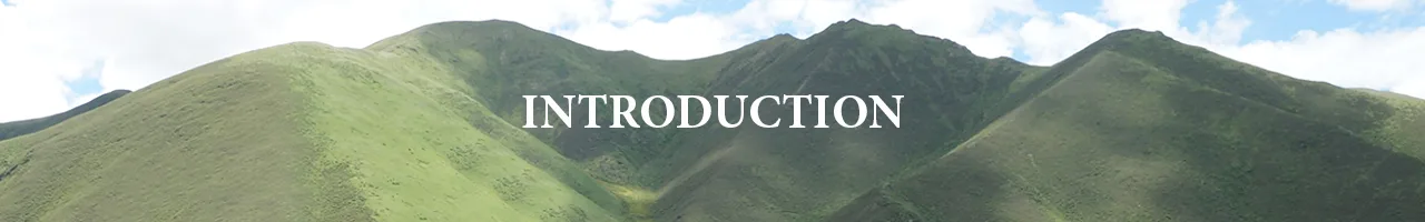 Introduction