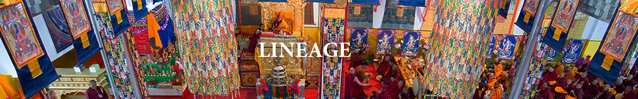 Lineage